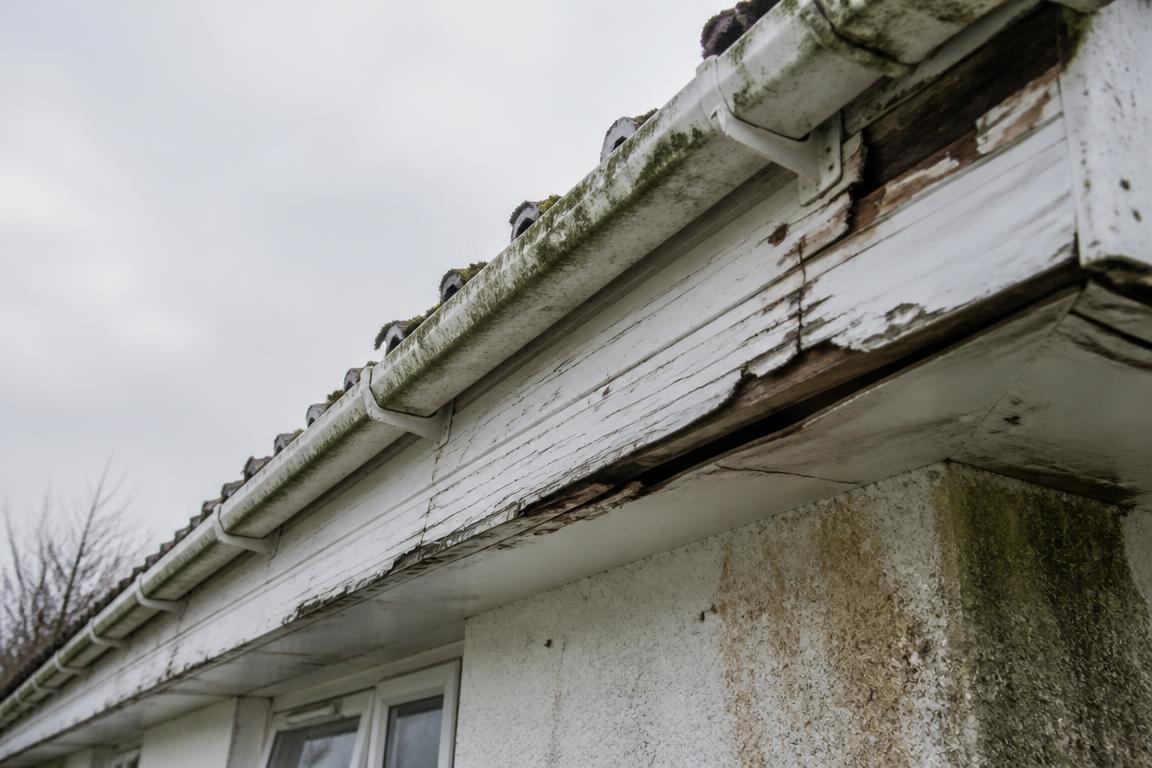 Moss-covered gutters and weathered fascia on an older house before cleaning
